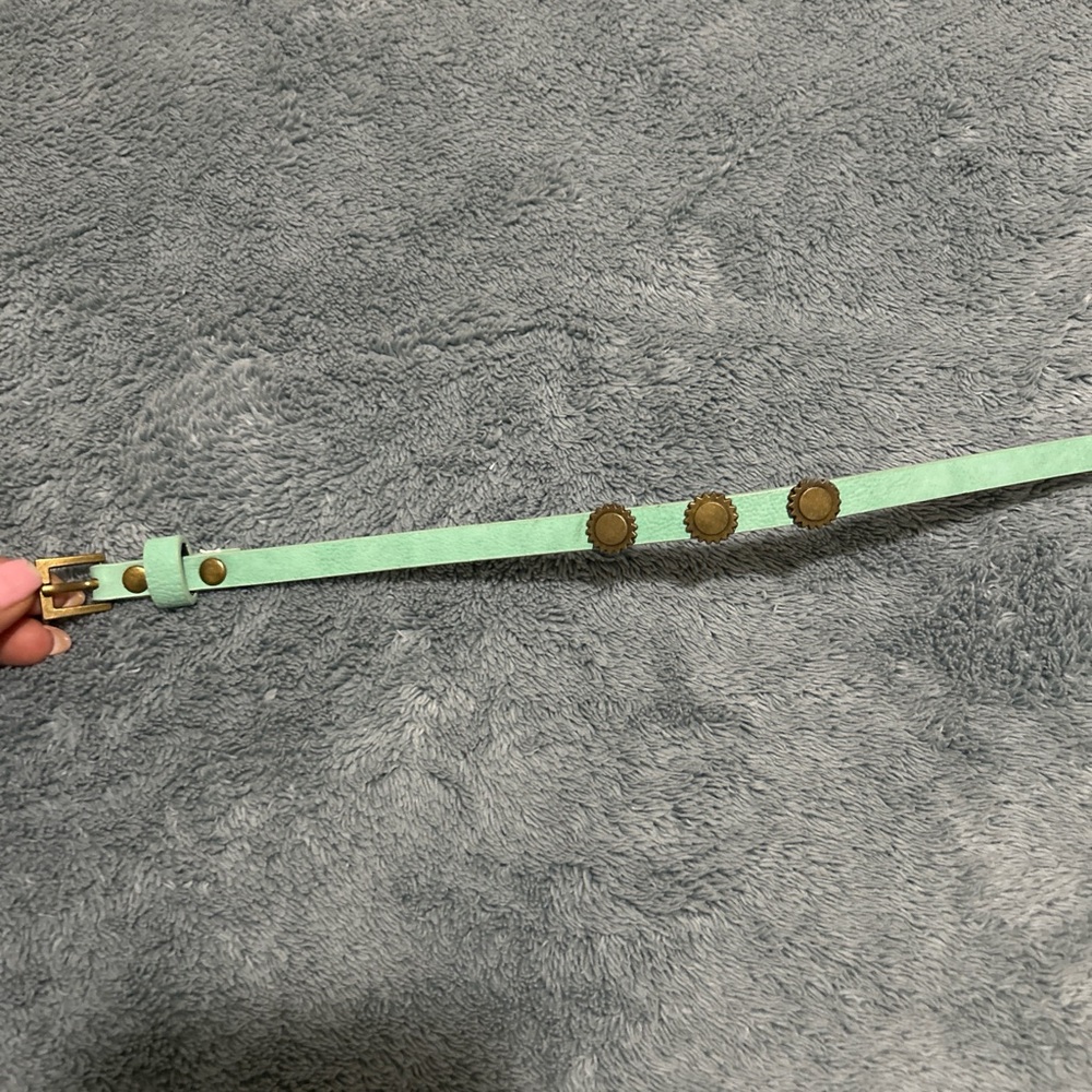 Vintage-Style Mint Green Skinny Belt with Bronze Sunburst Studs - Picture 2 of 8